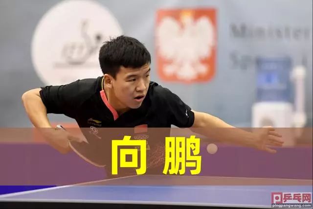 现场的雄鹿