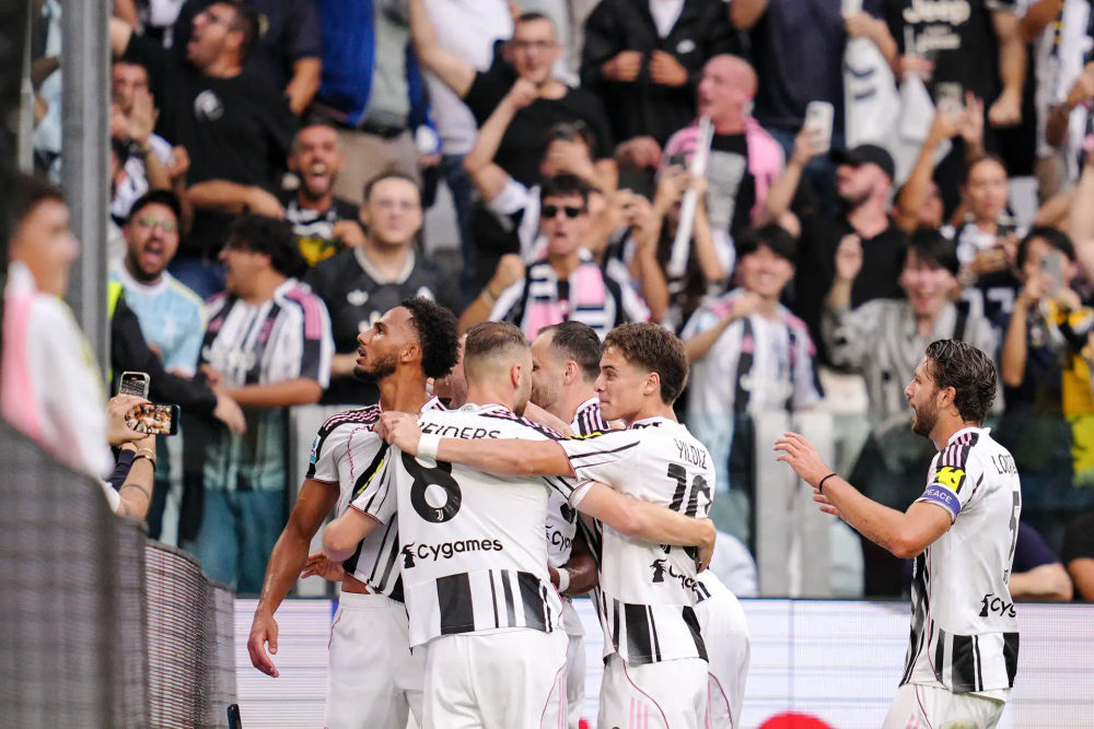 毛球新篇章 毛球新篇章