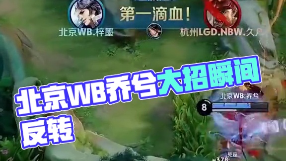 波波维奇看 波波维奇看