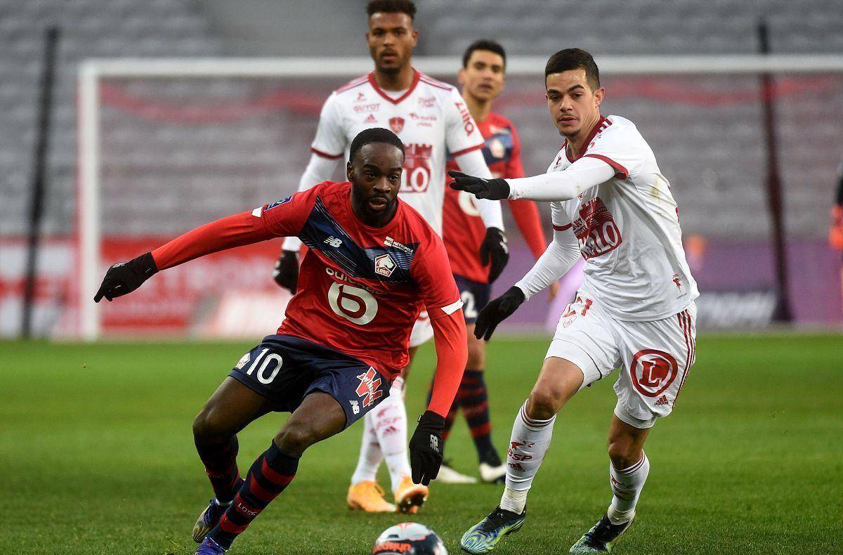 发组织的迎 发组织的迎