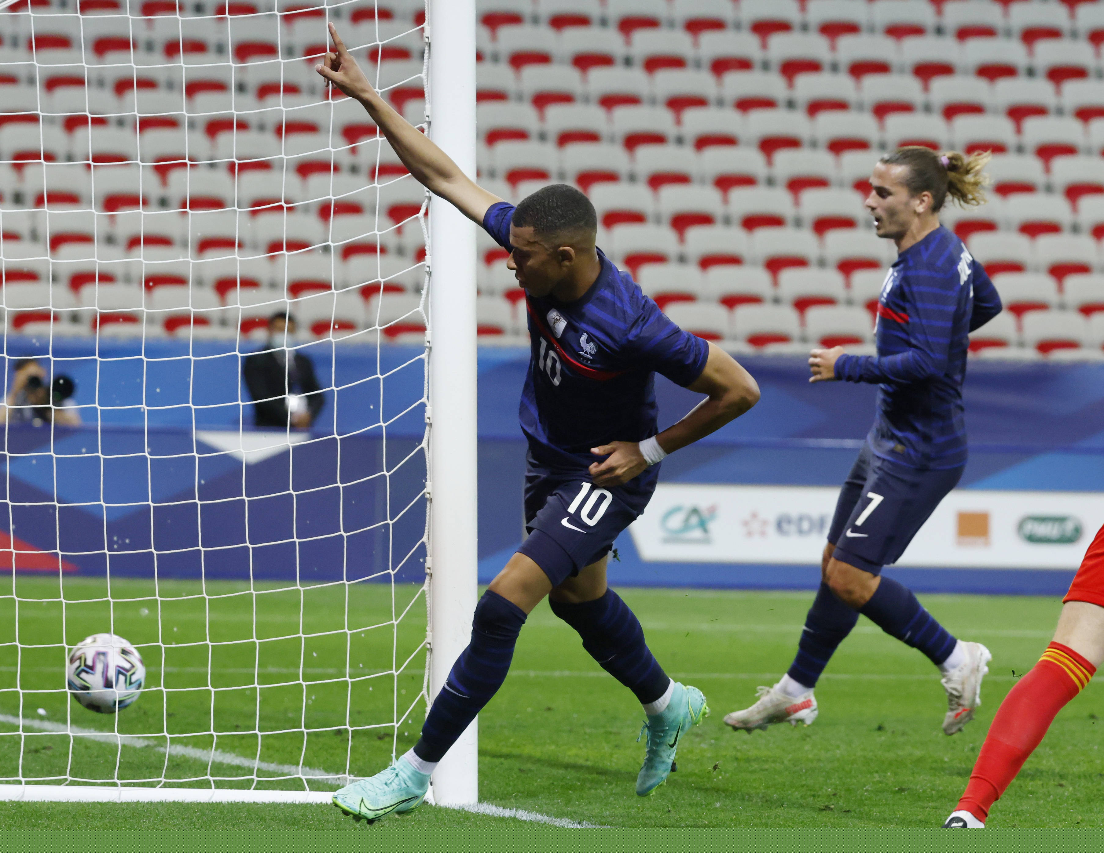 契合紫百合 契合紫百合